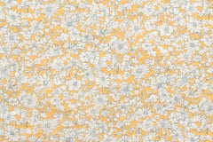 Japanese Fabric Amelie Ripple - B - 50cm