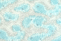 Japanese Fabric Fairy Meadow - E - 50cm
