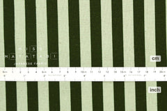 Cotton + Steel Primavera Canvas - Cabana Stripe mint - 50cm