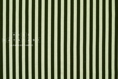 Cotton + Steel Primavera Canvas - Cabana Stripe mint - 50cm