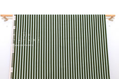 Cotton + Steel Primavera Canvas - Cabana Stripe mint - 50cm