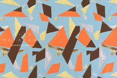 DEADSTOCK Japanese Fabric Bertram - C - 50cm