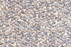 DEADSTOCK Japanese Fabric Tiny Cars - C - 50cm