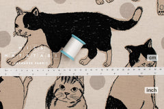 Japanese Fabric Sweet Kitty - A - 50cm