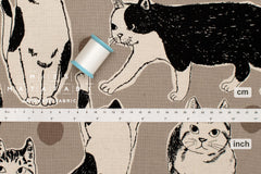 Japanese Fabric Sweet Kitty - taupe - 50cm