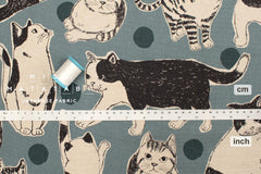 Japanese Fabric Sweet Kitty - seafoam - 50cm