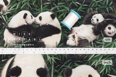 Japanese Fabric Panda Family - 50cm