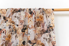 Japanese Fabric Existential Crisis Pups - 50cm