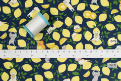 Japanese Fabric Lemonade Cats - D - 50cm