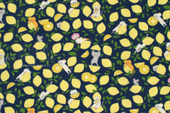 Japanese Fabric Lemonade Cats - D - 50cm