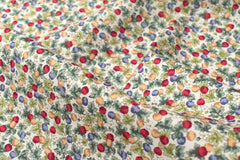 Japanese Fabric Country Apples - C - 50cm