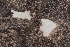 Japanese Fabric Mizacosha noir et blanc - 50cm