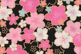 Japanese Fabric Bright Fun Sakura Blossoms - black, pink, gold, mint - 50cm