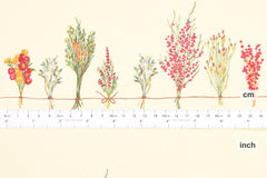 Japanese Fabric Dried Flowers - cream - 50cm