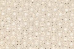 Japanese Fabric Embroidered Floral Eyelet - C - 50cm