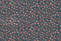 Japanese Fabric Brenda - C - 50cm