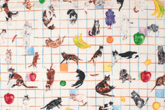 Japanese Fabric Kokka Paper Message Cats and Table Fruit - 50cm