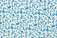 Japanese Fabric Kokka Yui ooinunofuguri - 50cm