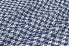 DEADSTOCK Japanese Fabric 100% Linen Check - blue - 50cm