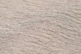 DEADSTOCK Japanese Fabric Shokunin Collection Yarn-Dyed Tiny Stripes - cream and black - 50cm
