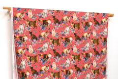 Japanese Fabric Regal Cats - A - 50cm