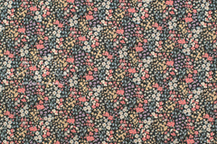 Japanese Fabric Geraldine - E - 50cm