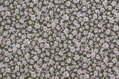 Japanese Fabric Isobel - green - 50cm