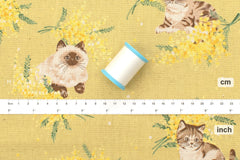 Japanese Fabric Mimosa Kittens - C - 50cm