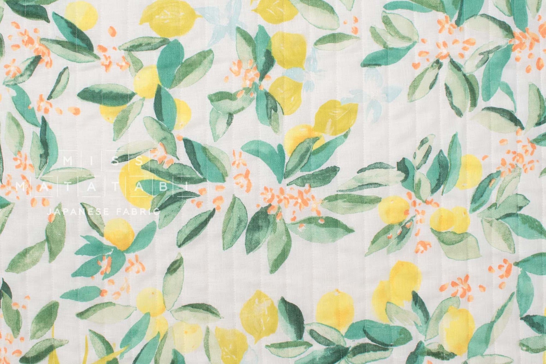 ooo112 　marihoja Abaca Lace Tulip marihoja Abaca Lace Tulip マリホジャ