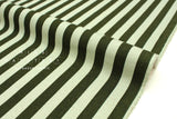 Cotton + Steel Primavera Canvas - Cabana Stripe mint - 50cm