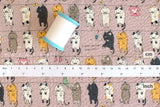 Japanese Fabric Cotton Ripple Cats on the Line - E - 50cm