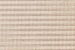 Japanese Fabric Yarn-Dyed Small Check - 6 - 50cm