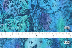 Blue Owls