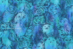 Blue Owls