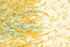 Japanese Fabric Mimosa Border - cream pale yellow - 50cm
