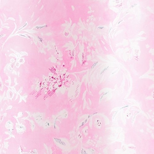 nani IRO Kokka Japanese Fabric Lokomaikai Organic Lawn - A - 50cm