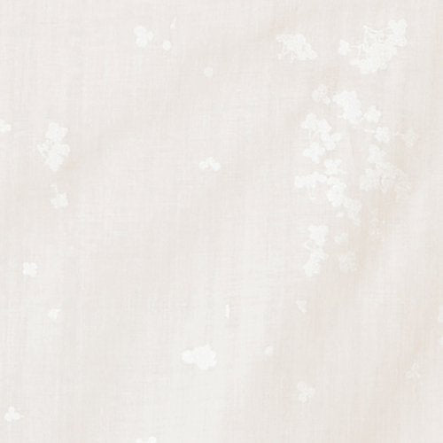 nani IRO Kokka Japanese Fabric microcosmos Double Gauze - B - 50cm