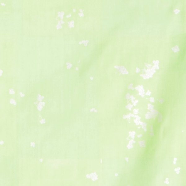 nani IRO Kokka Japanese Fabric microcosmos Double Gauze - C - 50cm
