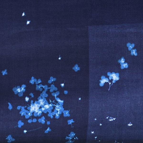 nani IRO Kokka Japanese Fabric microcosmos Double Gauze - D - 50cm