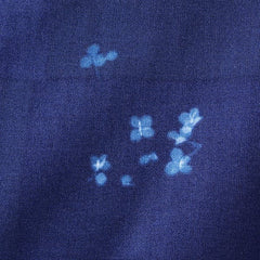 nani IRO Kokka Japanese Fabric microcosmos Double Gauze - D - 50cm