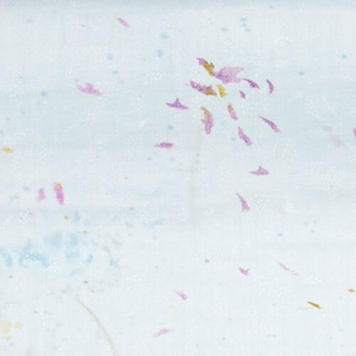 nani IRO Kokka Japanese Fabric Flowers bloom & Bear fruits Double Gauze - B - 50cm