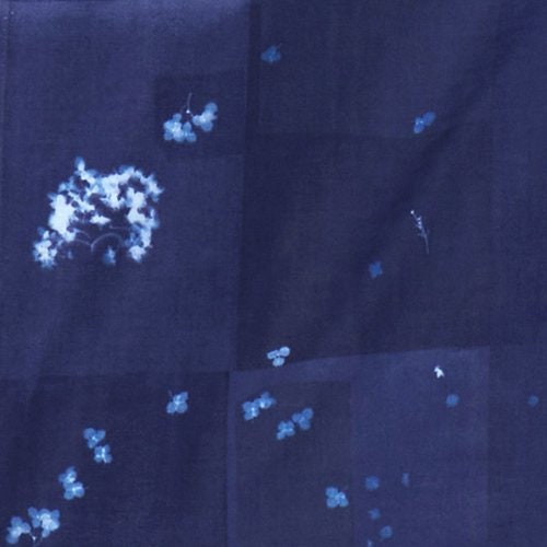 nani IRO Kokka Japanese Fabric microcosmos Double Gauze - D - 50cm