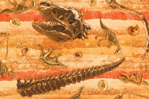 Japanese Fabric Dinosaur Fossils - 50cm