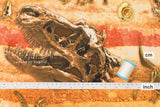 Japanese Fabric Dinosaur Fossils - 50cm