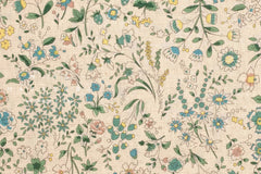 Japanese Fabric Botanist Blooms - 1B - 50cm