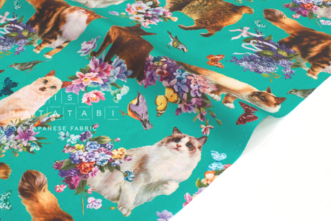 Japanese Fabric Regal Cats - B - 50cm